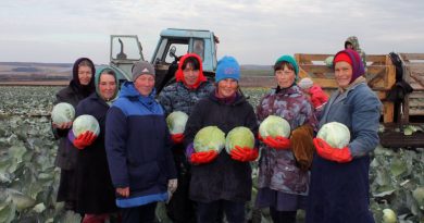 Хороший урожай овощей радует сельчан