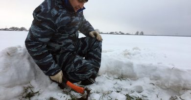 Главный агроном отдела сельского хозяйства Э. Ярабаев проверяет состояние посевов