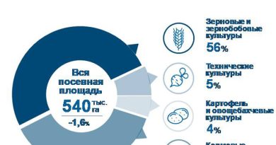 Инфографика Посевные площади