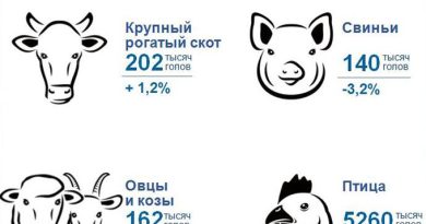 Инфографика Поголовье скота и птицы